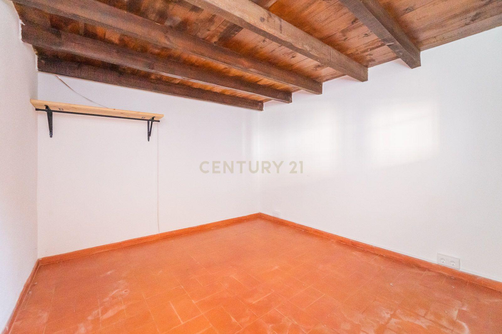 Quinta com 2 Moradias e Moinho com 3.412m2 em Monte Bom - Santo Isidoro - Image 63