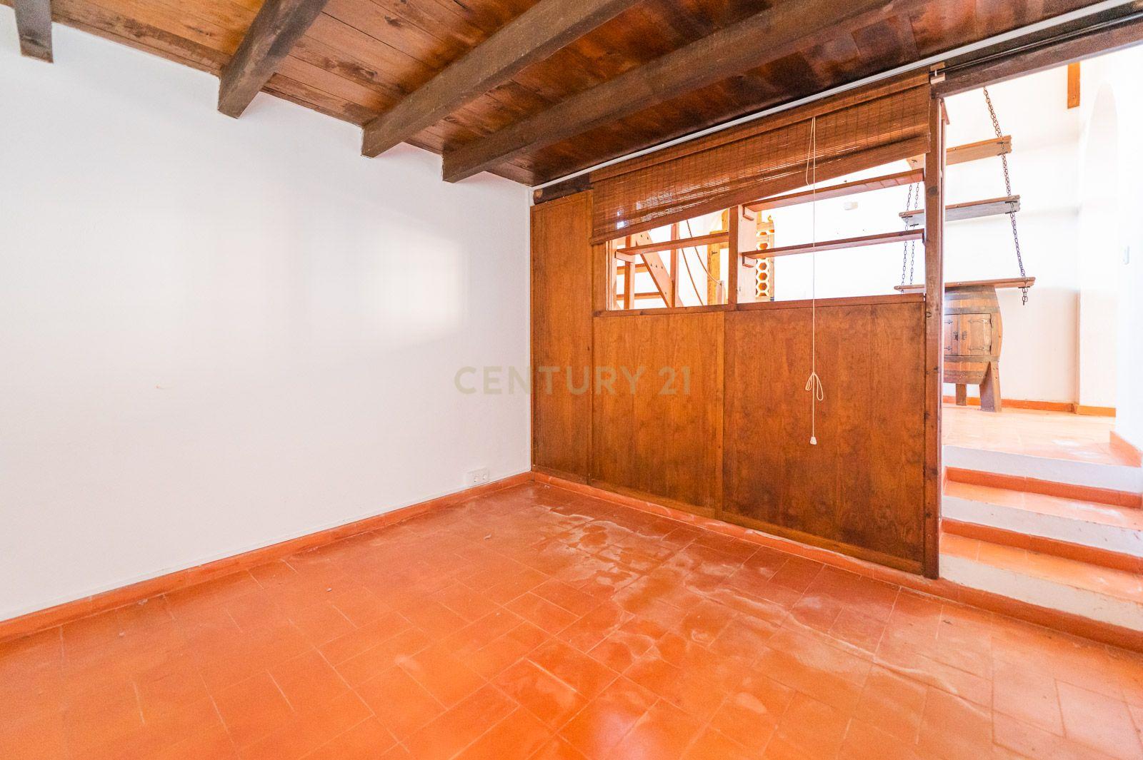 Quinta com 2 Moradias e Moinho com 3.412m2 em Monte Bom - Santo Isidoro - Image 64
