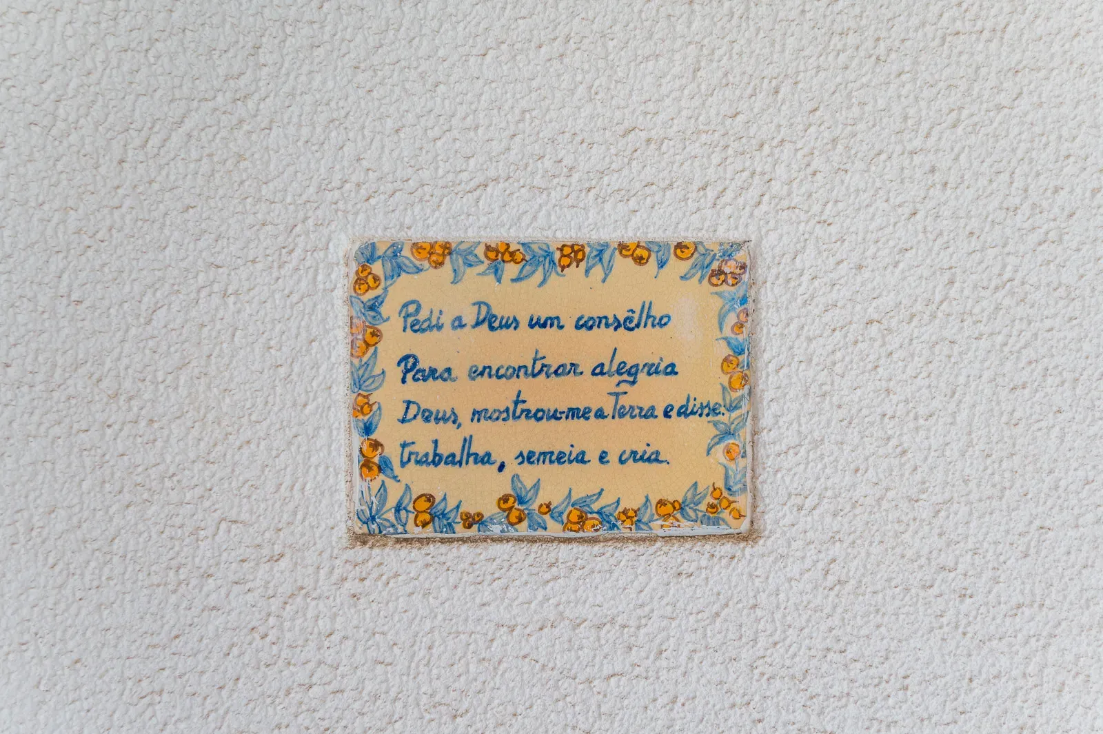 Quinta com 2 Moradias e Moinho com 3.412m2 em Monte Bom - Santo Isidoro - Image 43