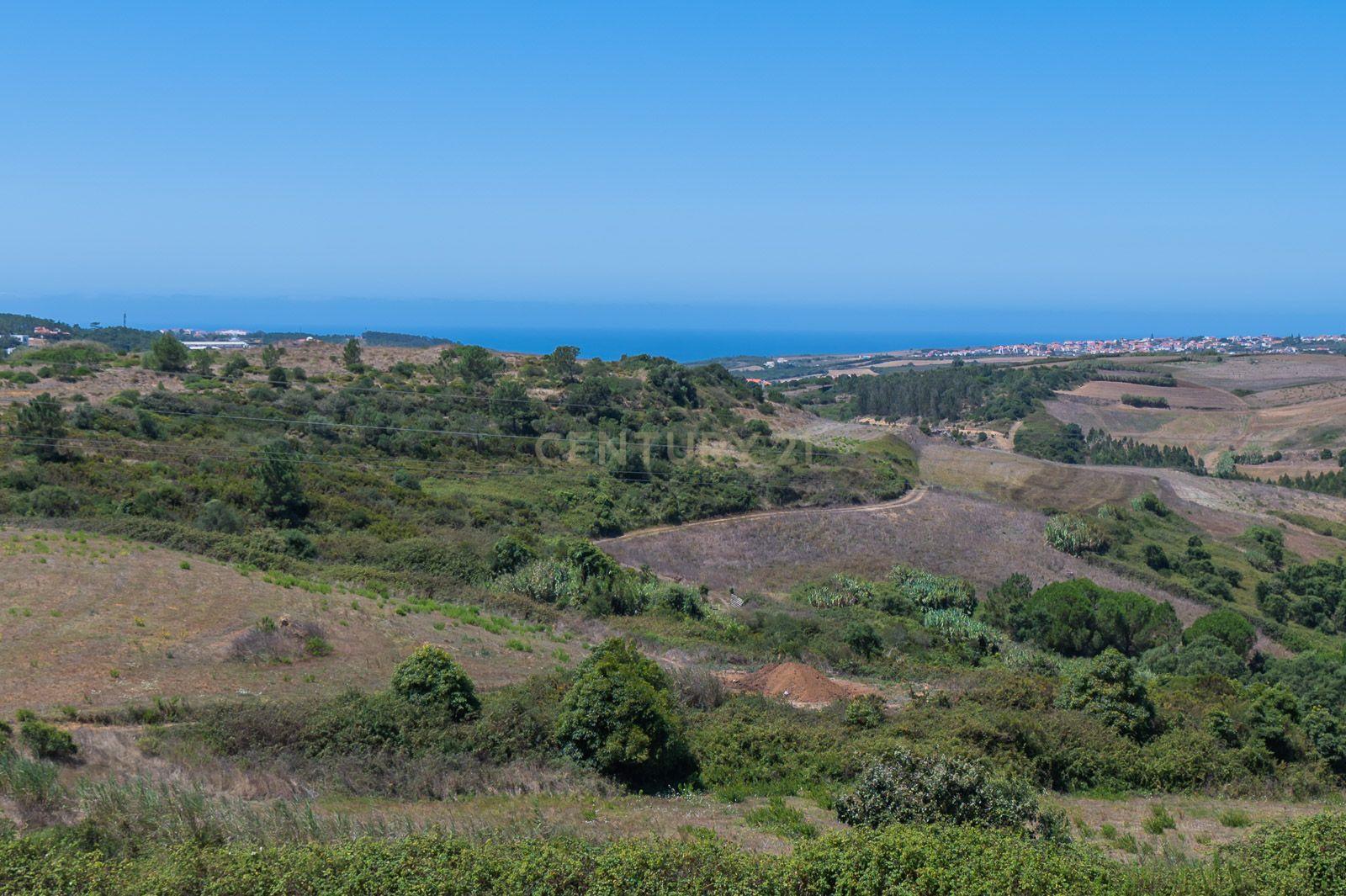 Quinta com 2 Moradias e Moinho com 3.412m2 em Monte Bom - Santo Isidoro - Image 33