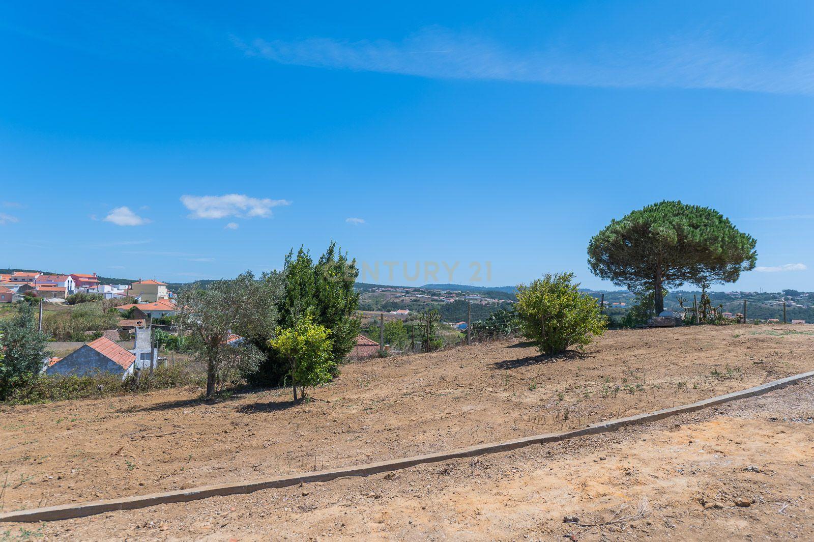 Quinta com 2 Moradias e Moinho com 3.412m2 em Monte Bom - Santo Isidoro - Image 73