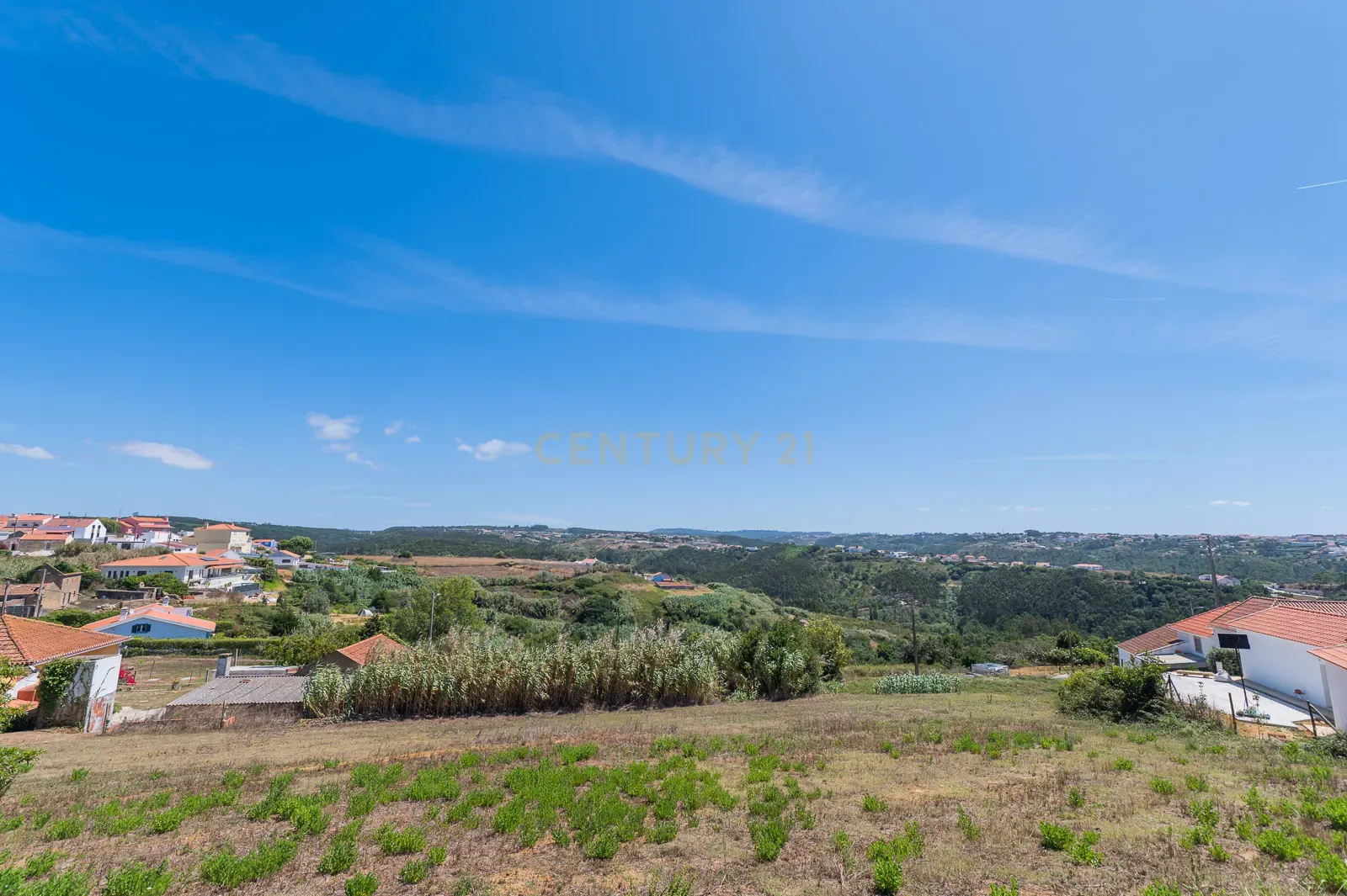 Quinta com 2 Moradias e Moinho com 3.412m2 em Monte Bom - Santo Isidoro - Image 79