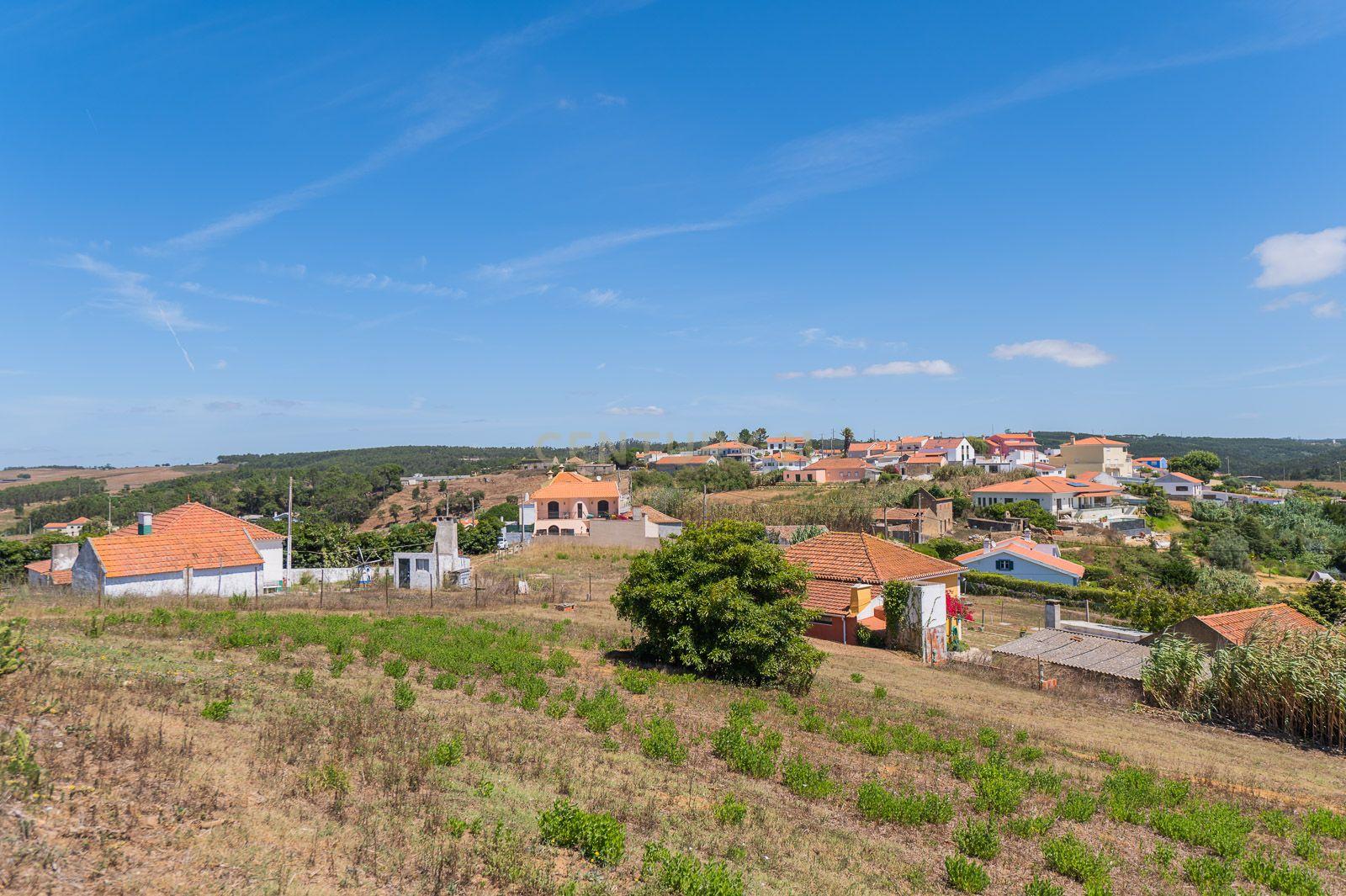 Quinta com 2 Moradias e Moinho com 3.412m2 em Monte Bom - Santo Isidoro - Image 81