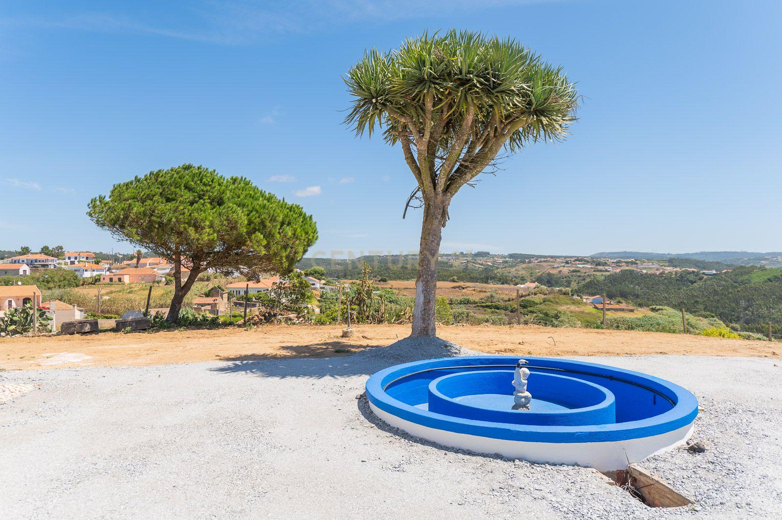 Quinta com 2 Moradias e Moinho com 3.412m2 em Monte Bom - Santo Isidoro - Image 41