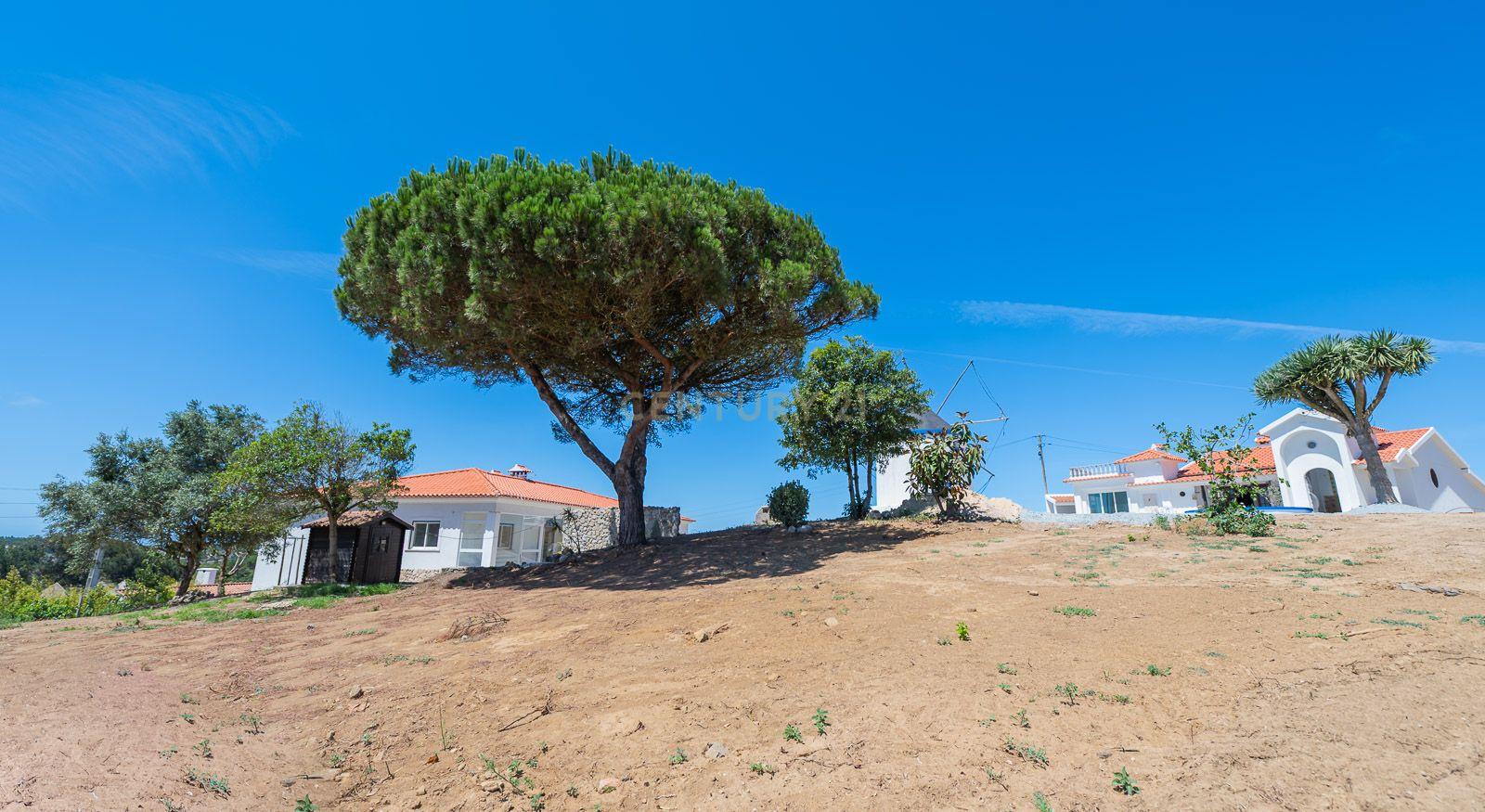 Quinta com 2 Moradias e Moinho com 3.412m2 em Monte Bom - Santo Isidoro - Image 80