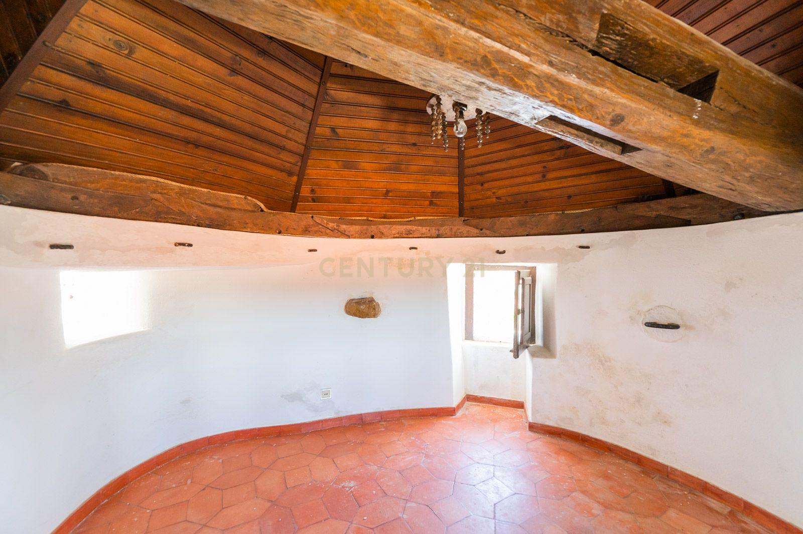 Quinta com 2 Moradias e Moinho com 3.412m2 em Monte Bom - Santo Isidoro - Image 77