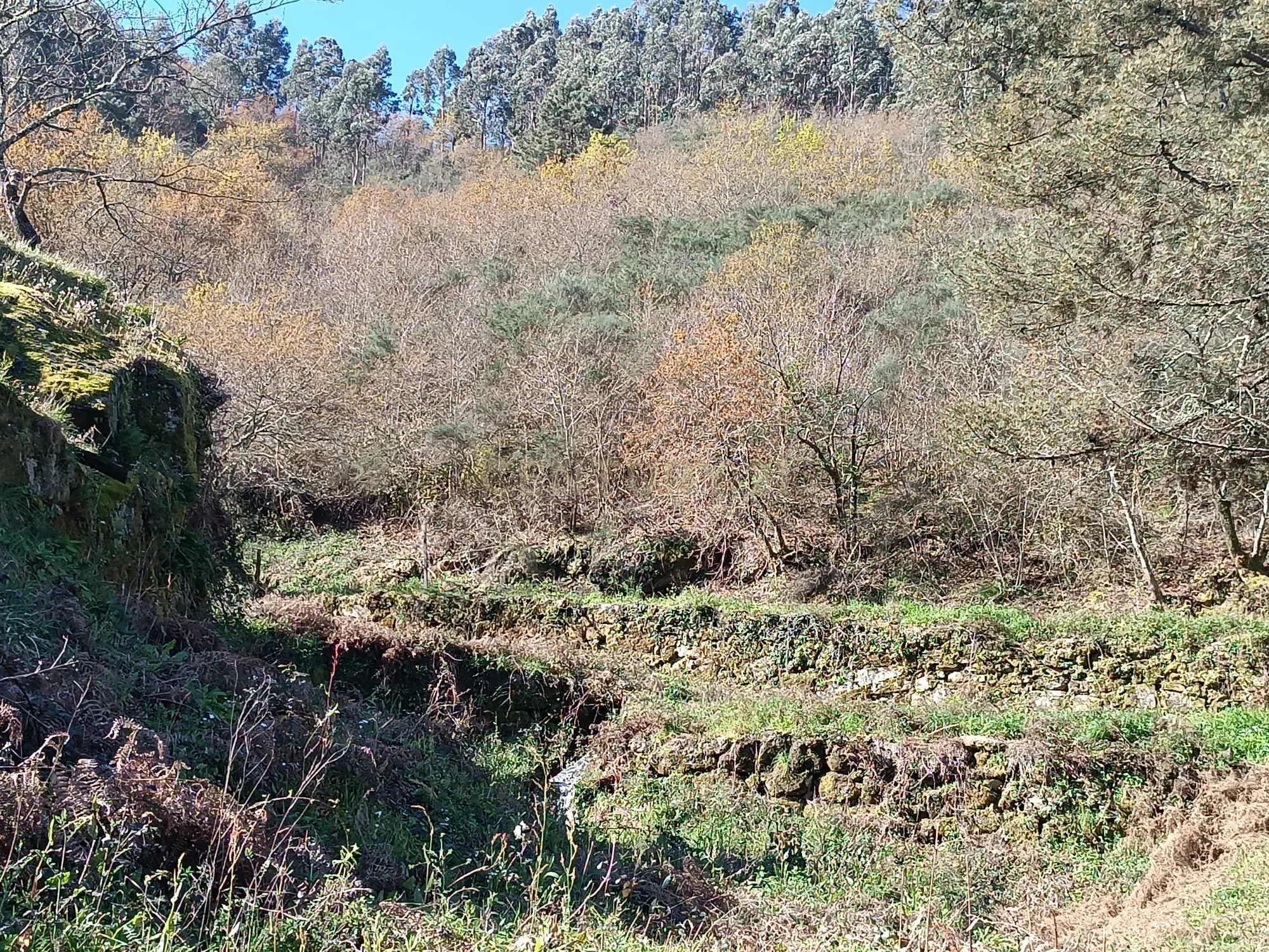 Moradia T2 à venda em Gondar, Amarante — foto 24
