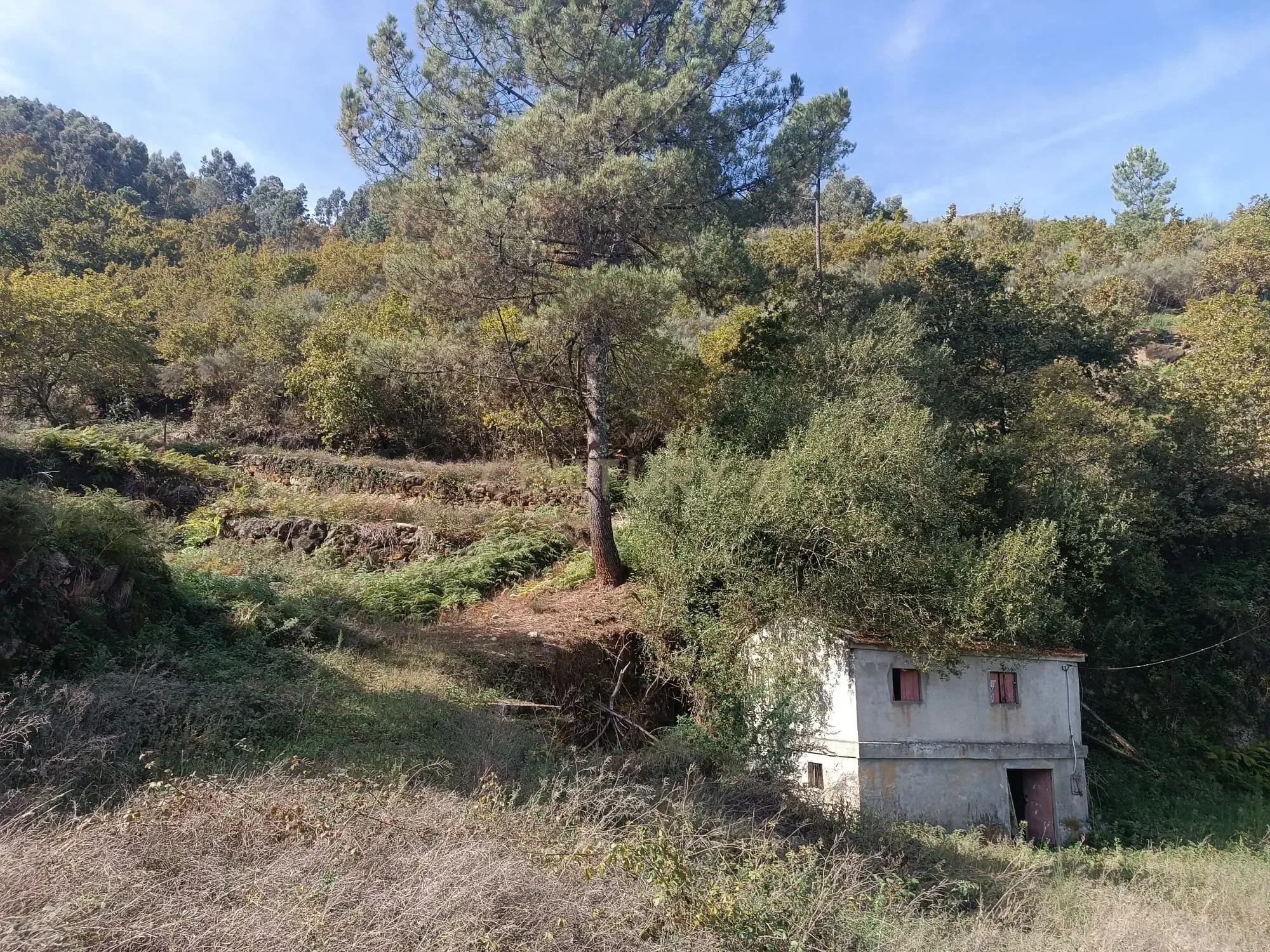 Moradia T2 à venda em Gondar, Amarante — foto 19