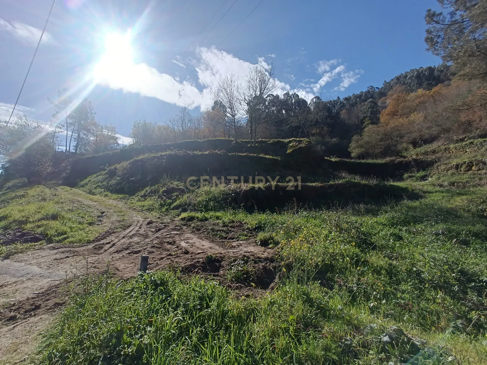 Moradia T2 à venda em Gondar, Amarante — foto 31