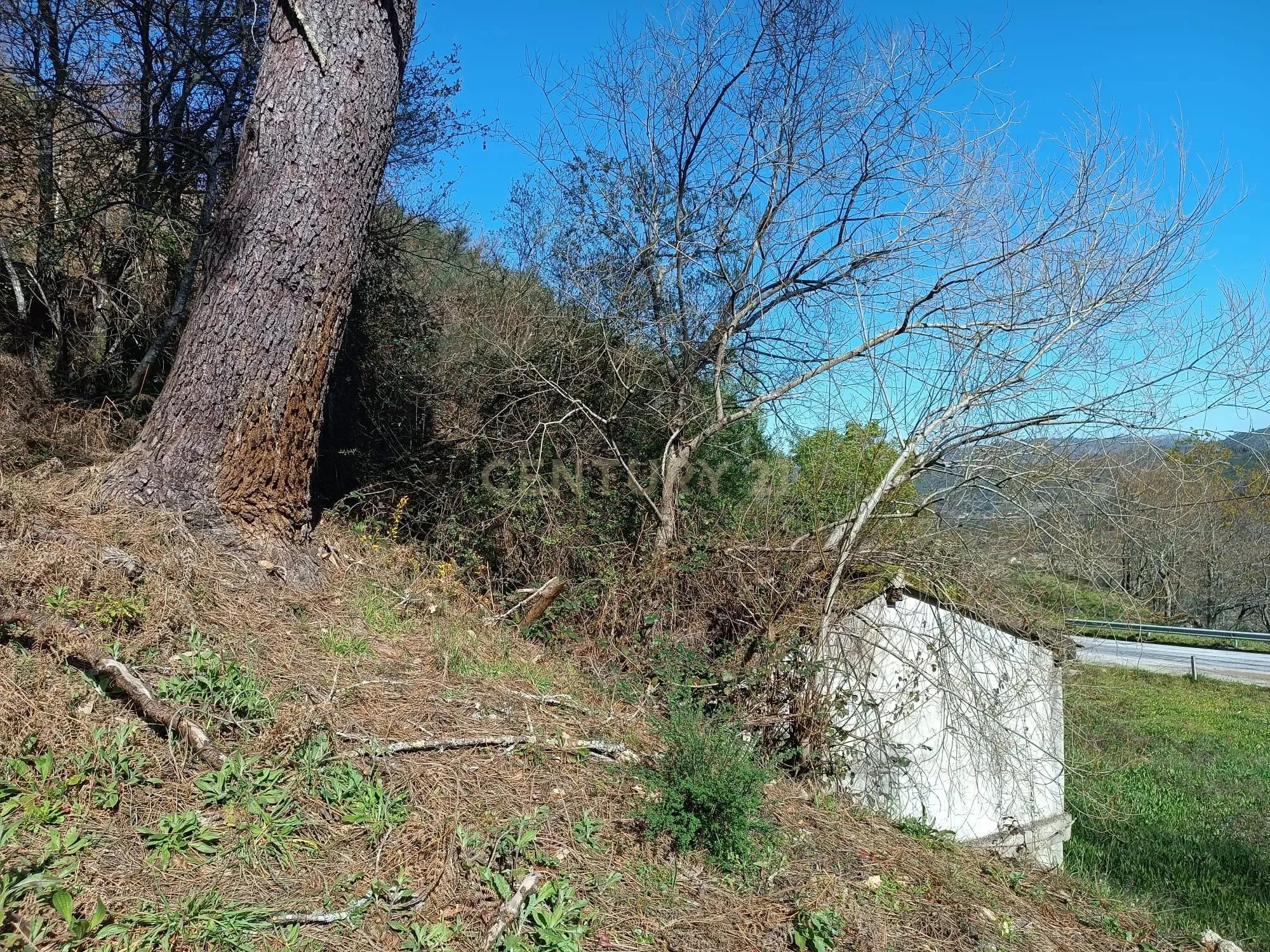 Moradia T2 à venda em Gondar, Amarante — foto 16
