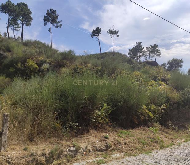 Terreno