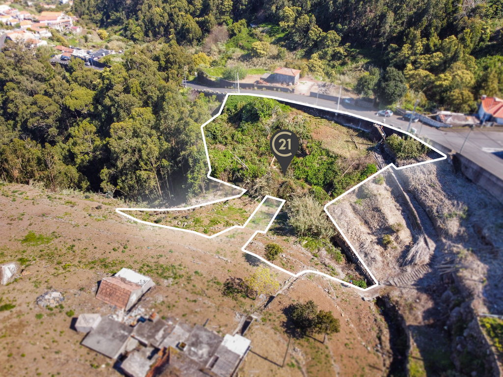 Terreno com Vista Mar e Potencial de Construção em Santa Cruz - Image 22