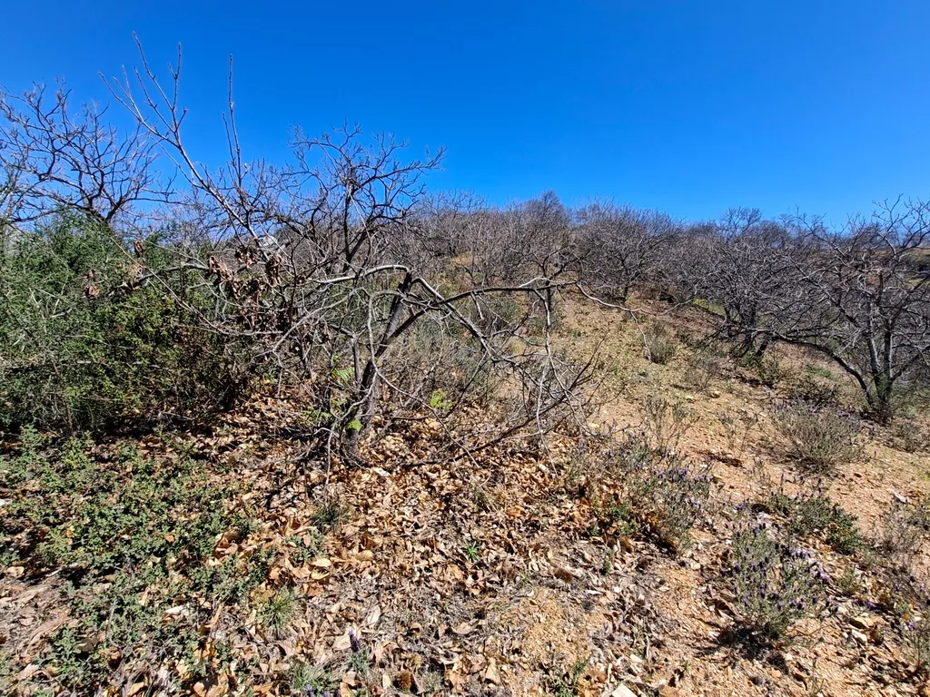 Moradia geminada de gaveto, com orientação sul, vistas para a montanha e duas propriedades rústicas com oliveiras, vinhas e castanheiros, no coração do Alto Genal. - Image 37