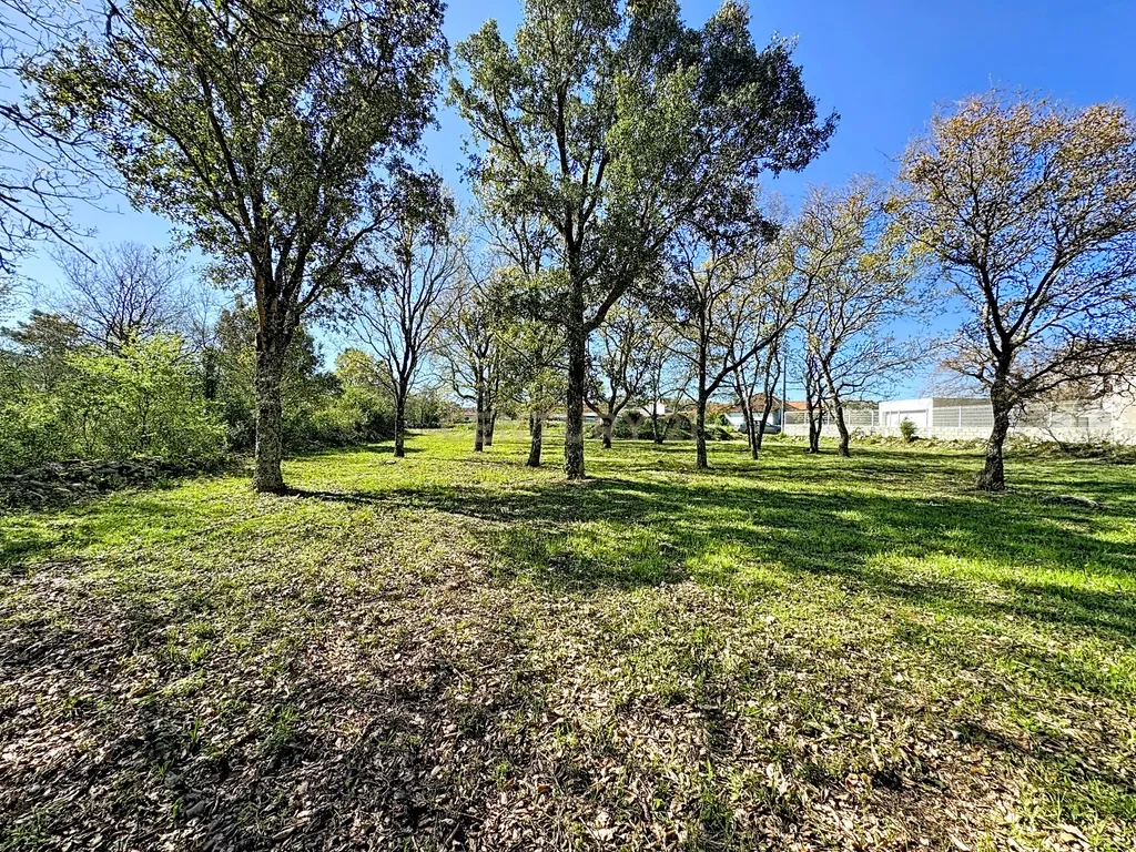 O lugar ideal para construir em plena natureza – Alcobaça - Image 1