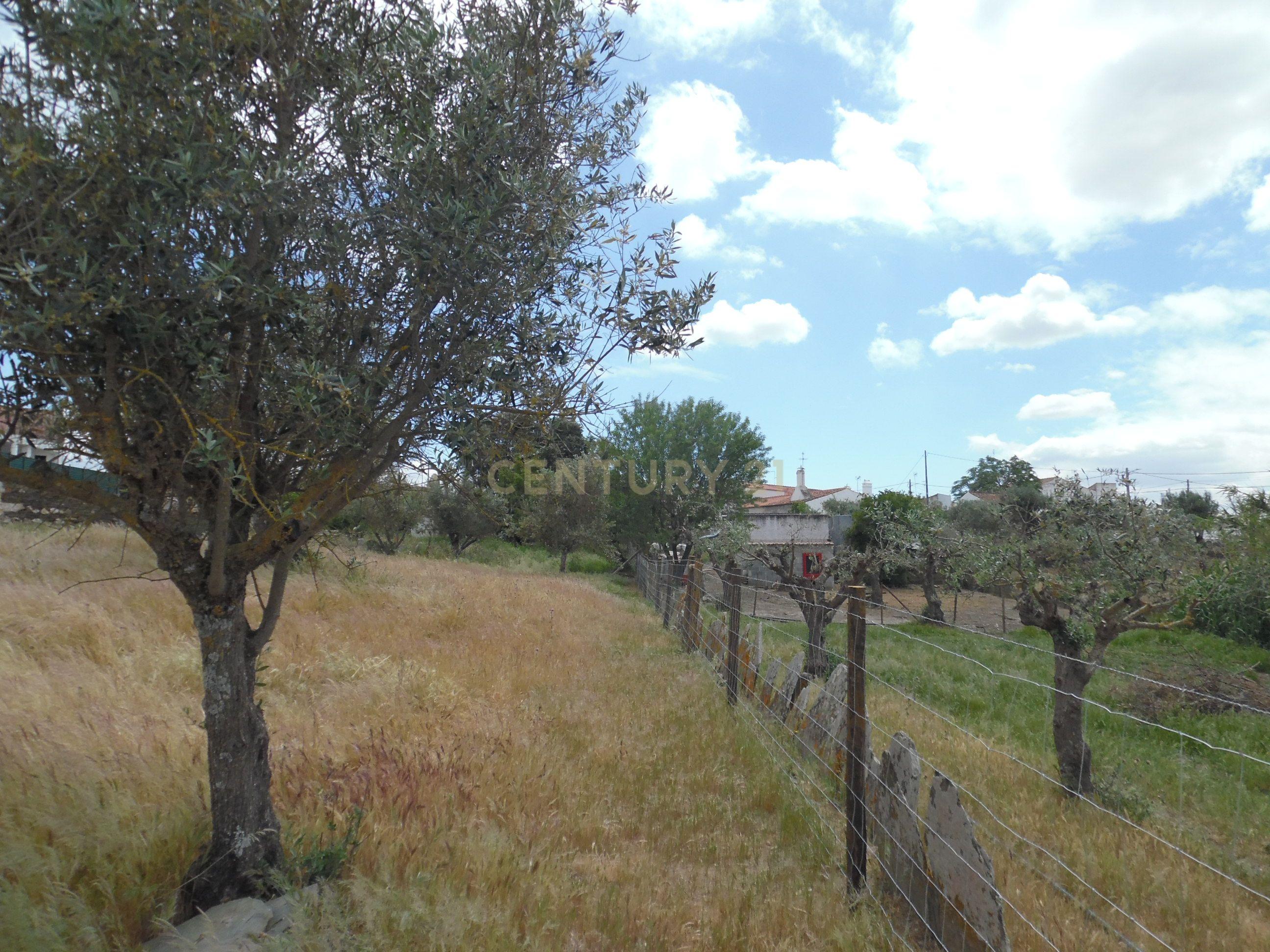 Moradia T3 à venda em Capelins (Santo António), Alandroal — foto 21