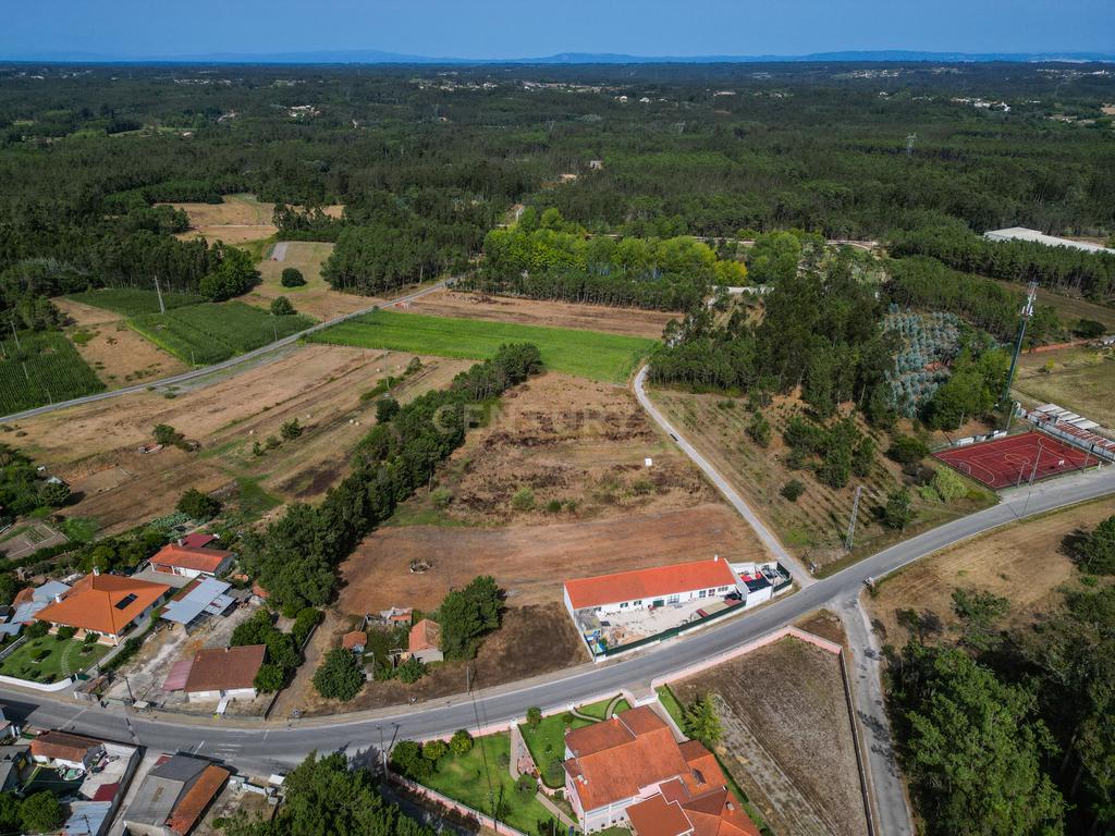 Terreno com viabilidade de construção em Queridas, Ferreira-a-Nova, Figueira da Foz - Image 9