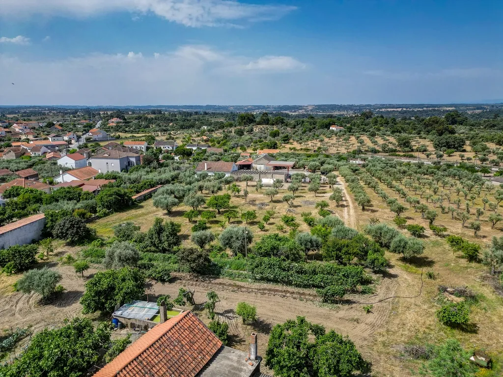 OPORTUNIDADE 360º – Moradia T3 + Posto de Combustível GALP + Terrenos (36 000 m²) - Image 40