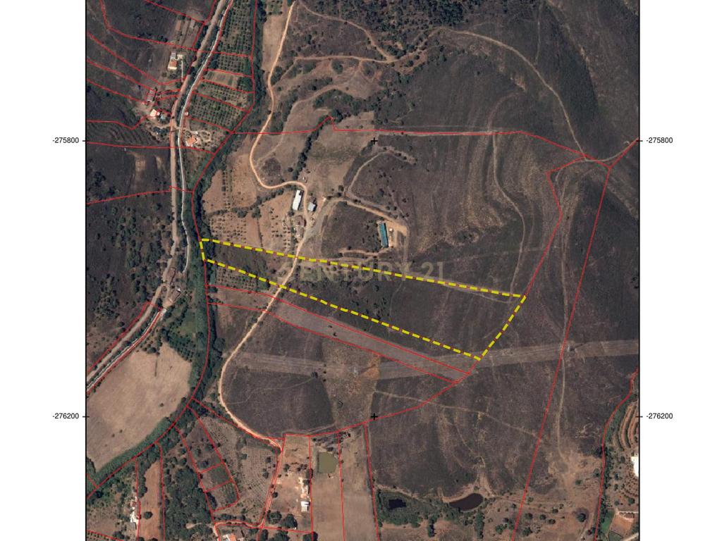 Oportunidade Única – Quinta com Potencial e Ribeira Natural - Image 15