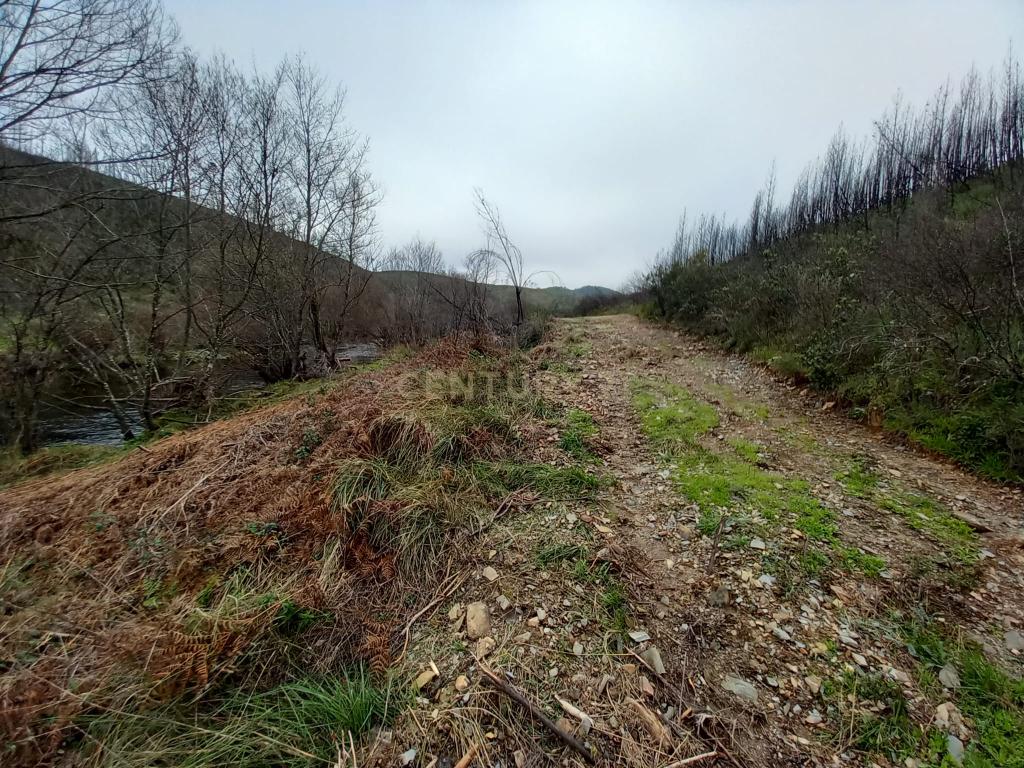 Terreno Rustico com 10000m2 Sobrainho da Ribeira - Image 10