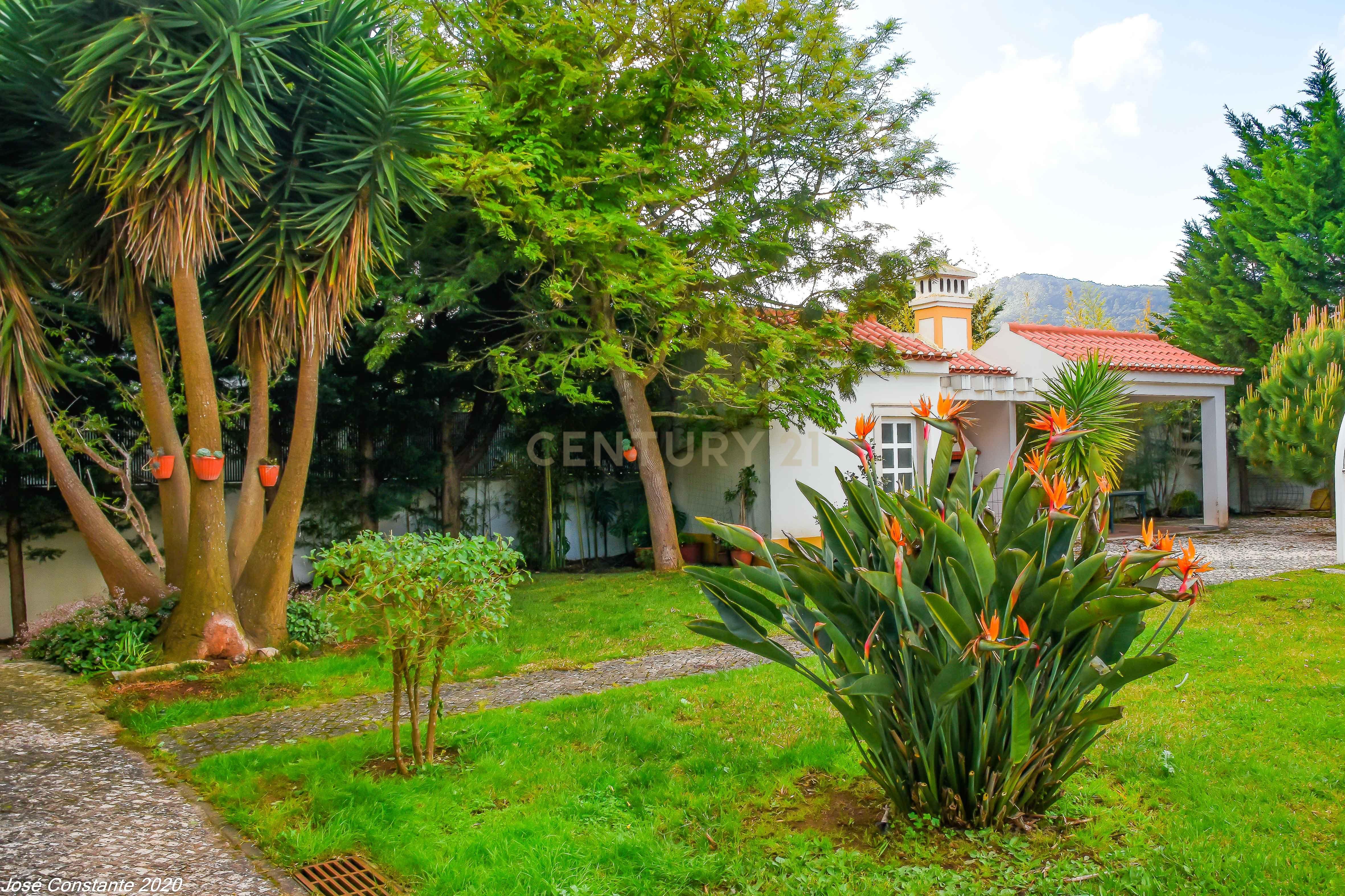 SINTRA - QUINTA DA BELOURA - MORADIA DE LUXO - Image 46
