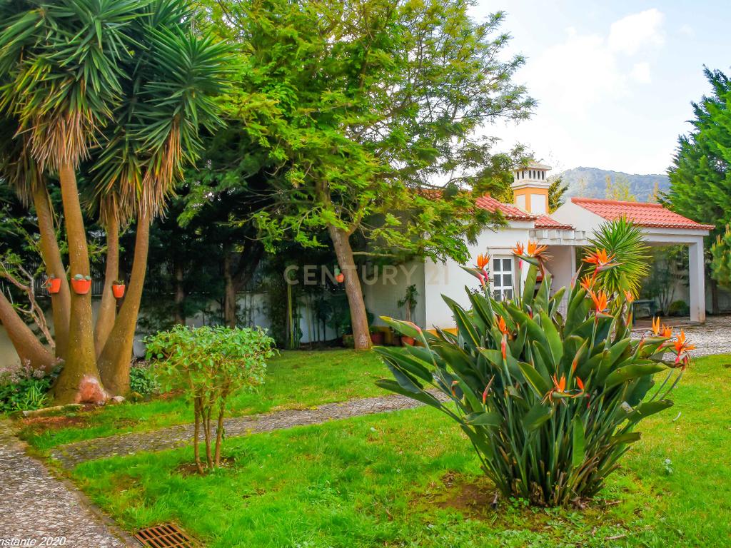 SINTRA - QUINTA DA BELOURA - MORADIA DE LUXO - Image 46