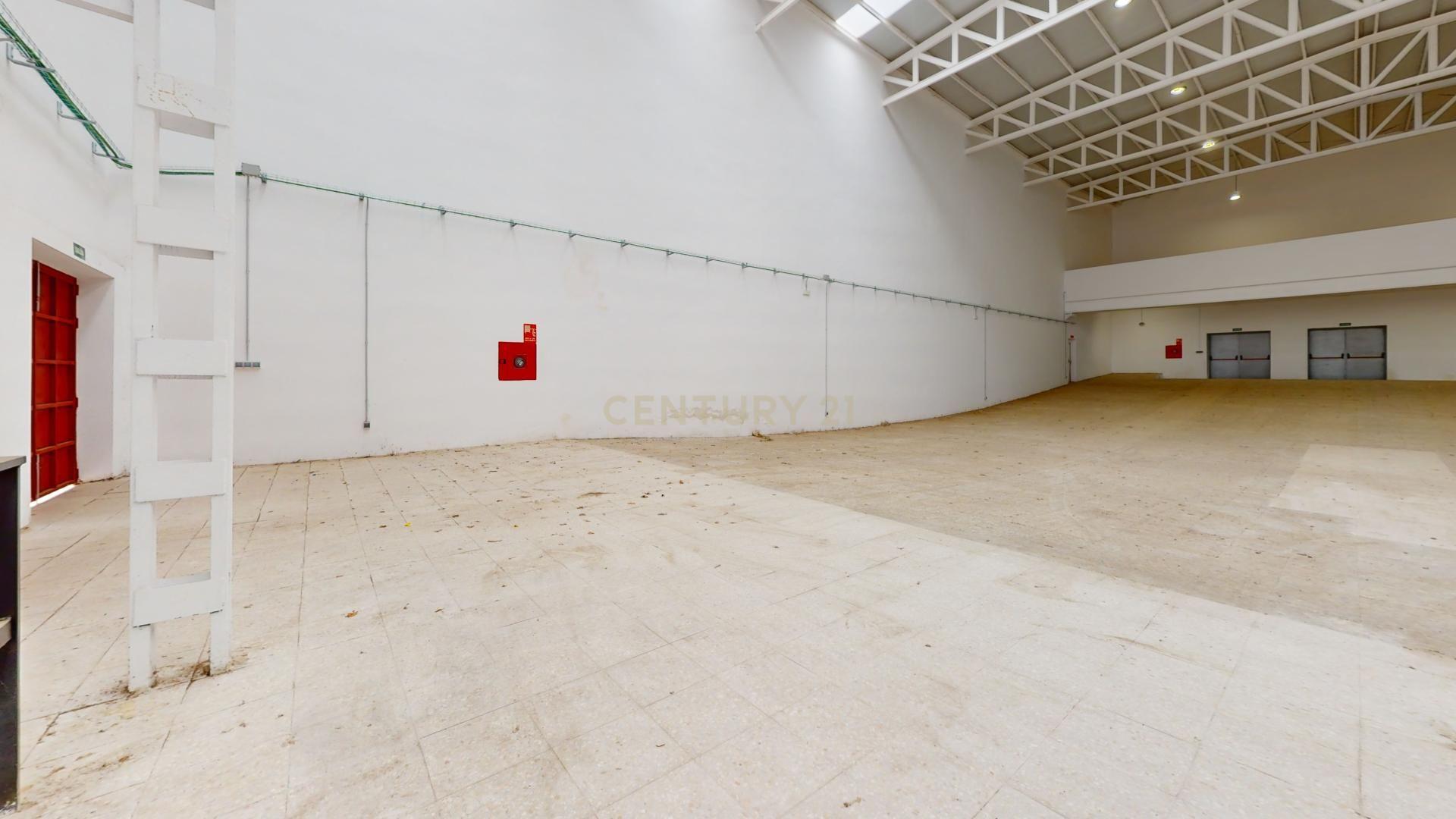 undefined - Image 47