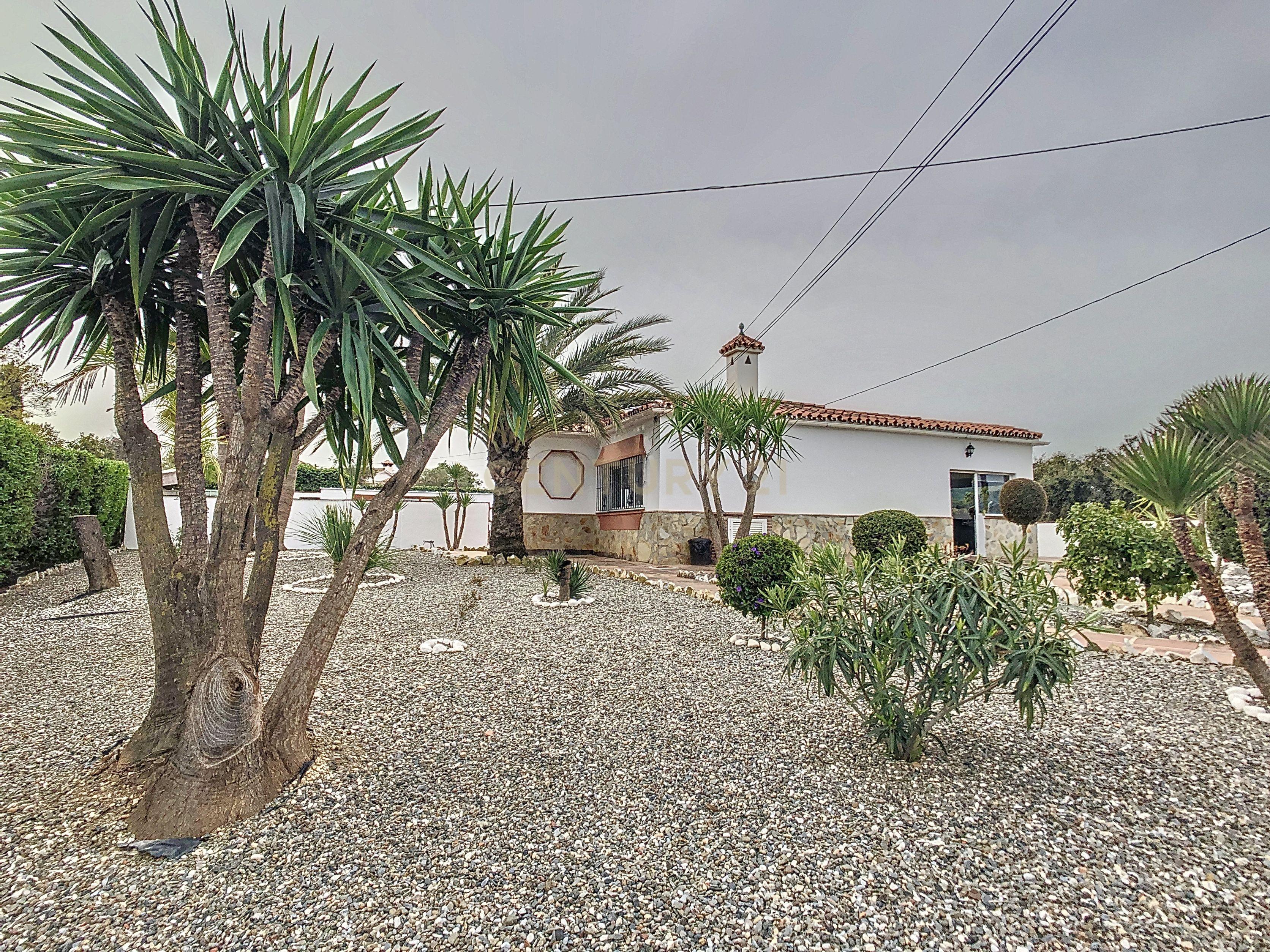 undefined - Image 20