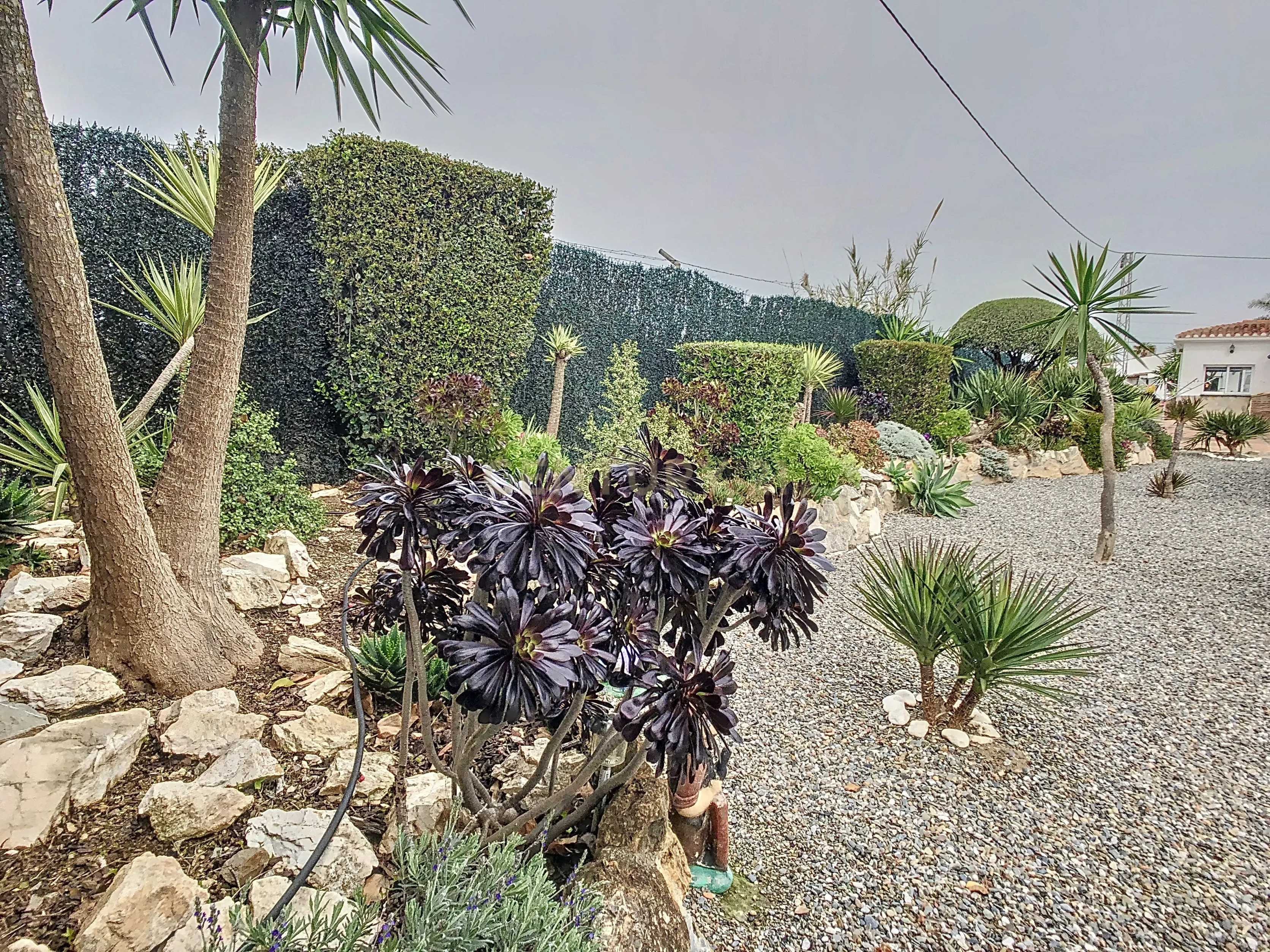 undefined - Image 29