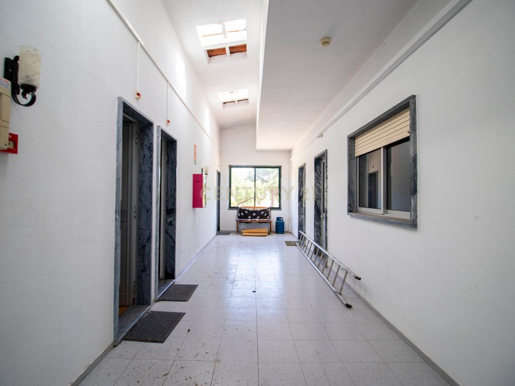 Arrendamento - Encantadora Herdade em Évora, Montemor-o-Novo — Lavre  - Image 14