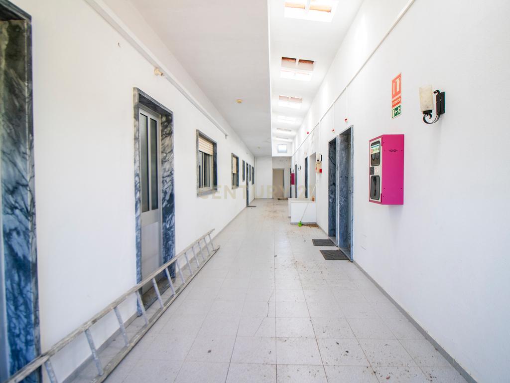 Arrendamento - Encantadora Herdade em Évora, Montemor-o-Novo — Lavre  - Image 15