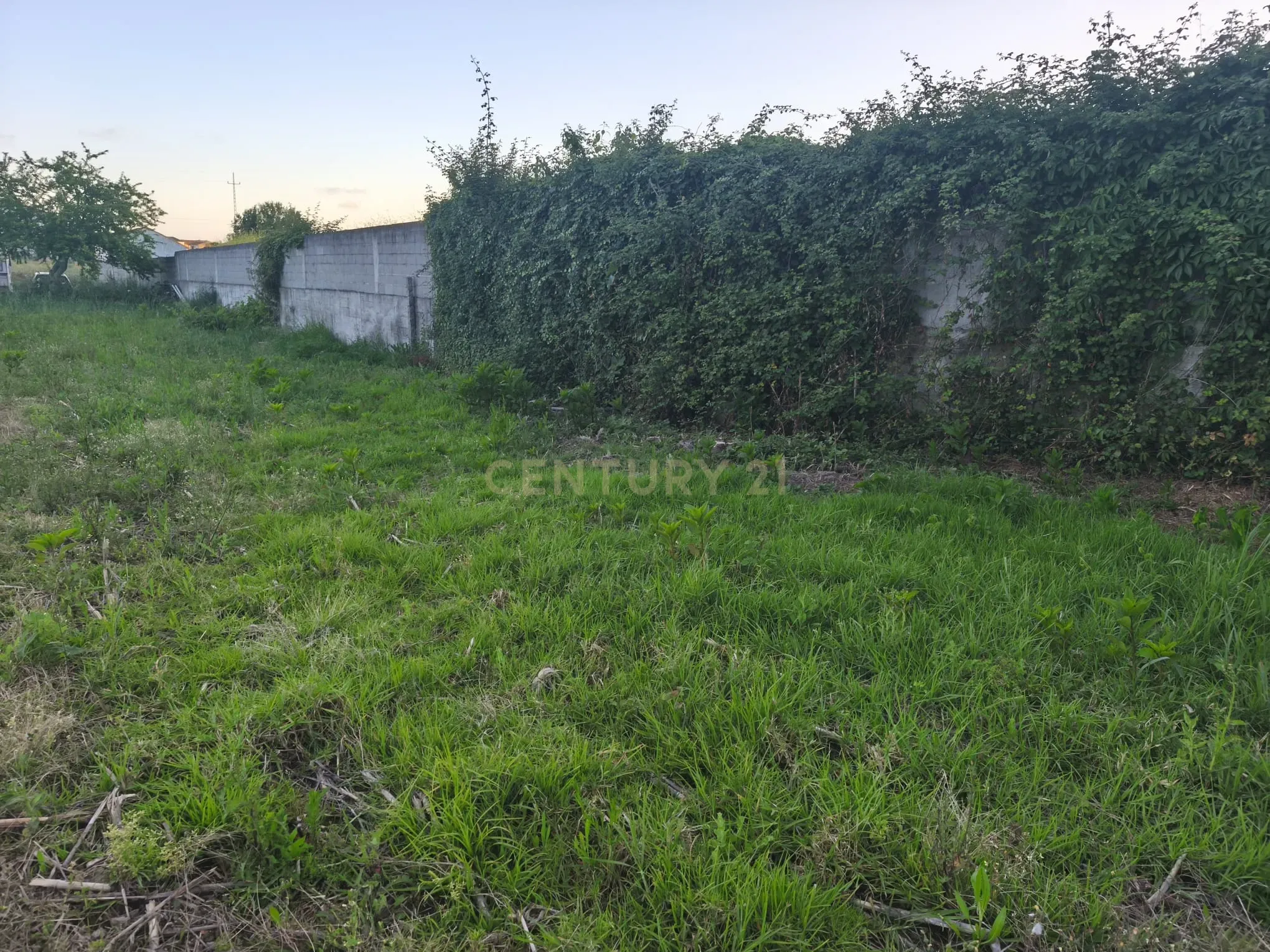 Fotografia 6 de Quer construir uma moradia à sua medida perto da Póvoa de Varzim?