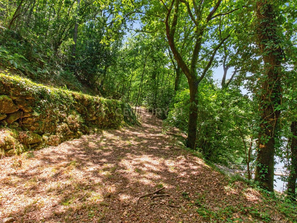 Duas Propriedades Únicas no Gerês com Acesso Direto ao Rio e Ancoradouro Privado - Image 39