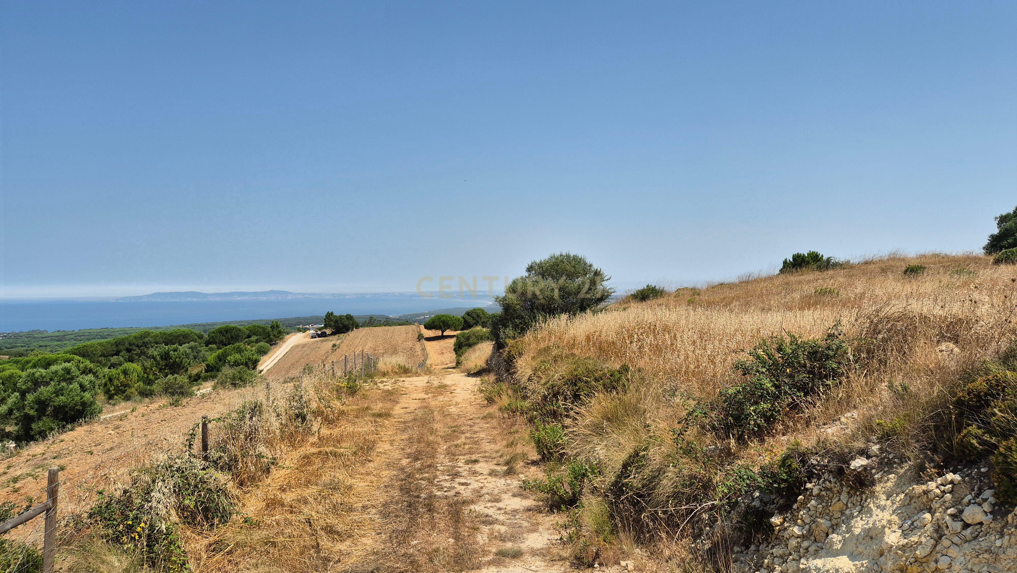 Fotografia 11 de Terreno com Vista Mar e Lisboa na Azoia (15.700 m²) | PIP Aprovado para Moradia + Cave
