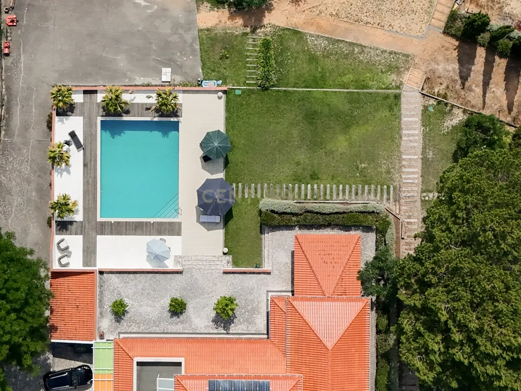 Propriedade Única com Piscina, Lago e Produção de Azeite - Image 10