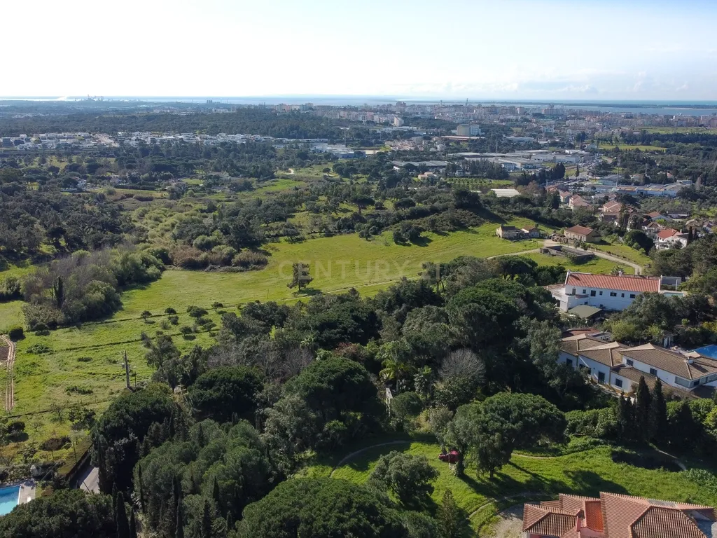 🏡 Terreno para Construção – 2.746 m² | Oportunidade Única Perto de Setúbal! 🌿 - Image 41