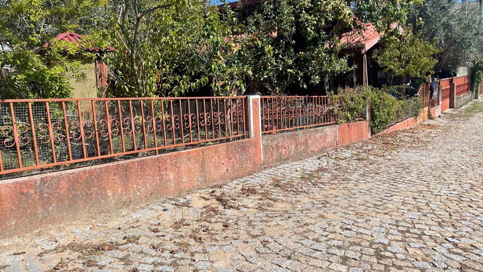 Fotografia 10 de Terreno com casa de madeira proximo do Sátão
