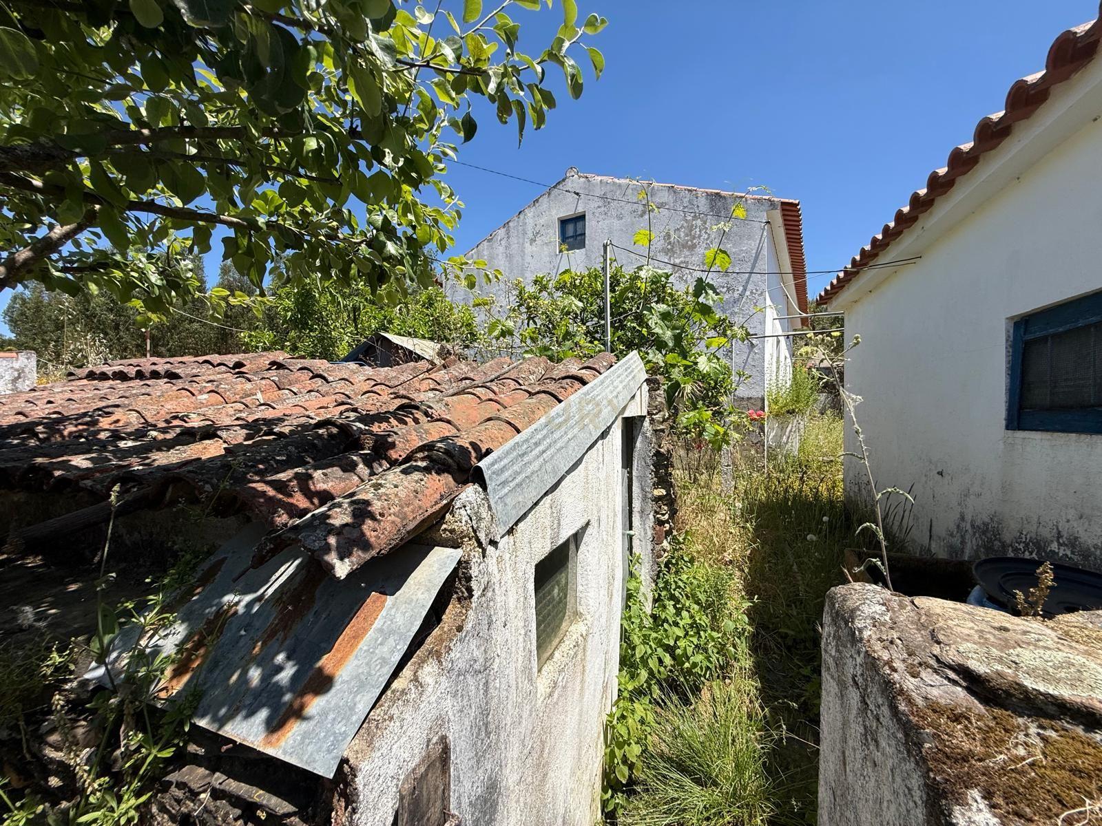 Fotografia 10 de Casa de Campo em Alegrete, Portalegre - Oportunidade Única