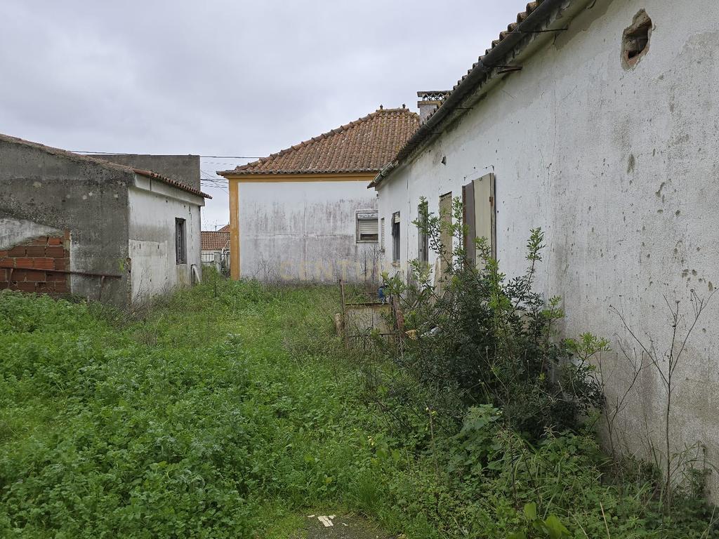 Terreno Urbano de 3.900 m², com moradia térrea sem licença – Charneca de Caparica - Image 13