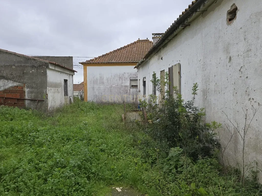 Terreno Urbano de 3.900 m², com moradia térrea sem licença – Charneca de Caparica - Image 13