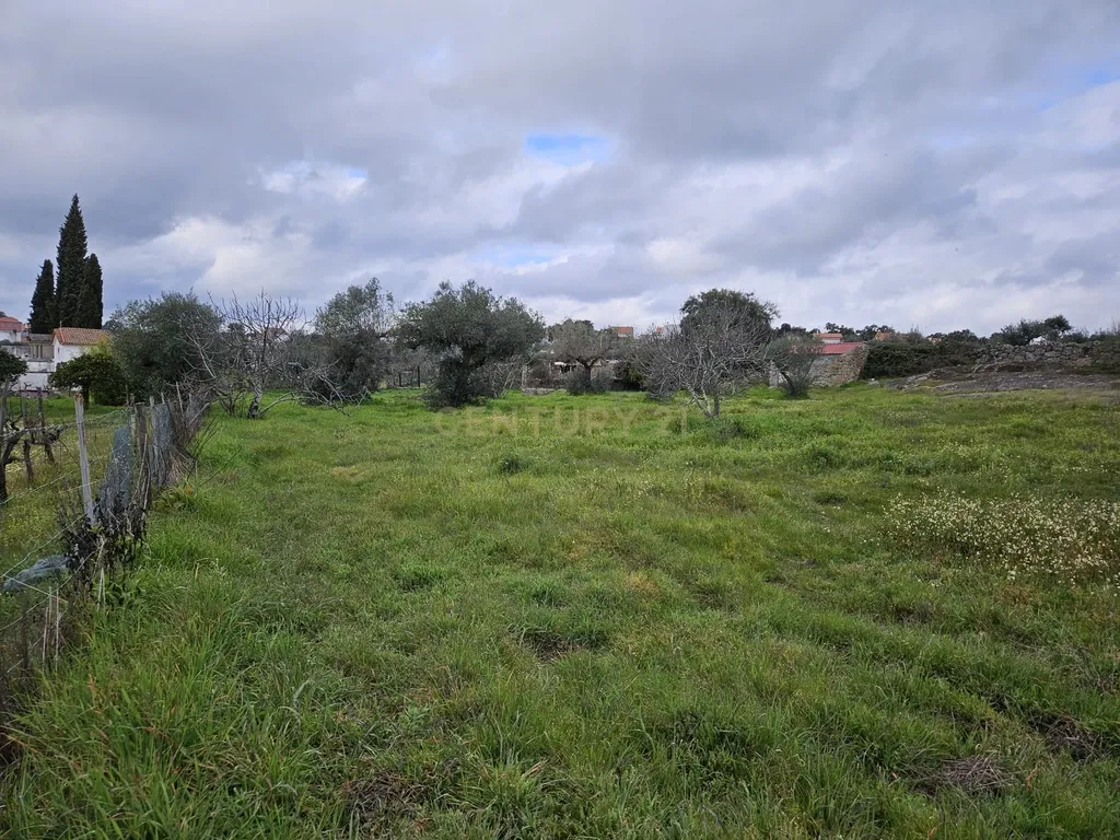 Quintinha na Lousa, Castelo Branco - Image 25