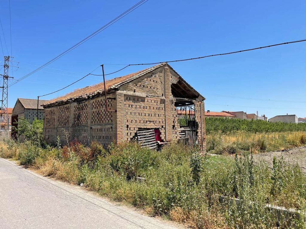 TERRENO DE REGADÍO CON SECADERO, JUNTO AL NÚCLEO URBANO DE FTE. VAQUEROS - Image 12