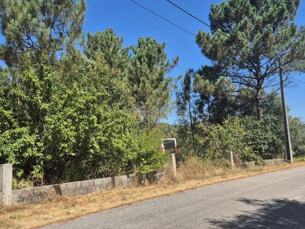Terreno para Construção em Pombal, Leiria - Oportunidade Única! - Image 27