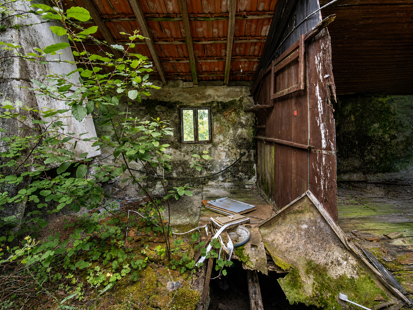 Fotografia 10 de **Oportunidade no Gerês: Terreno de 850 m² com Ruína em Valdreu, Vila Verde**