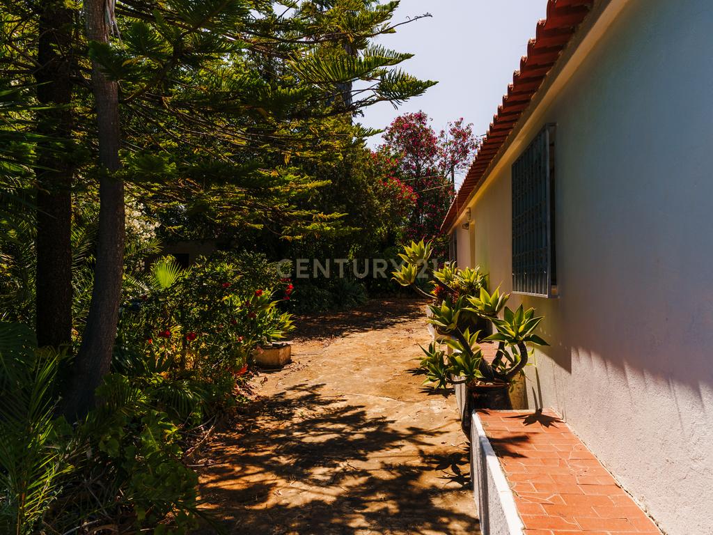 Quinta com 8660 m2 com Moradia, piscina e dois terraços panorâmicos em Silves - Image 17
