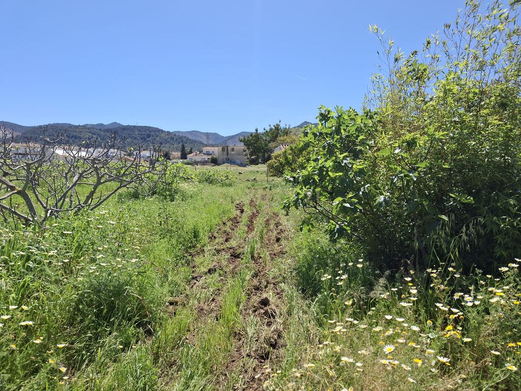 Encantadora Propriedade com Vista Panorâmica em Málaga - Image 15