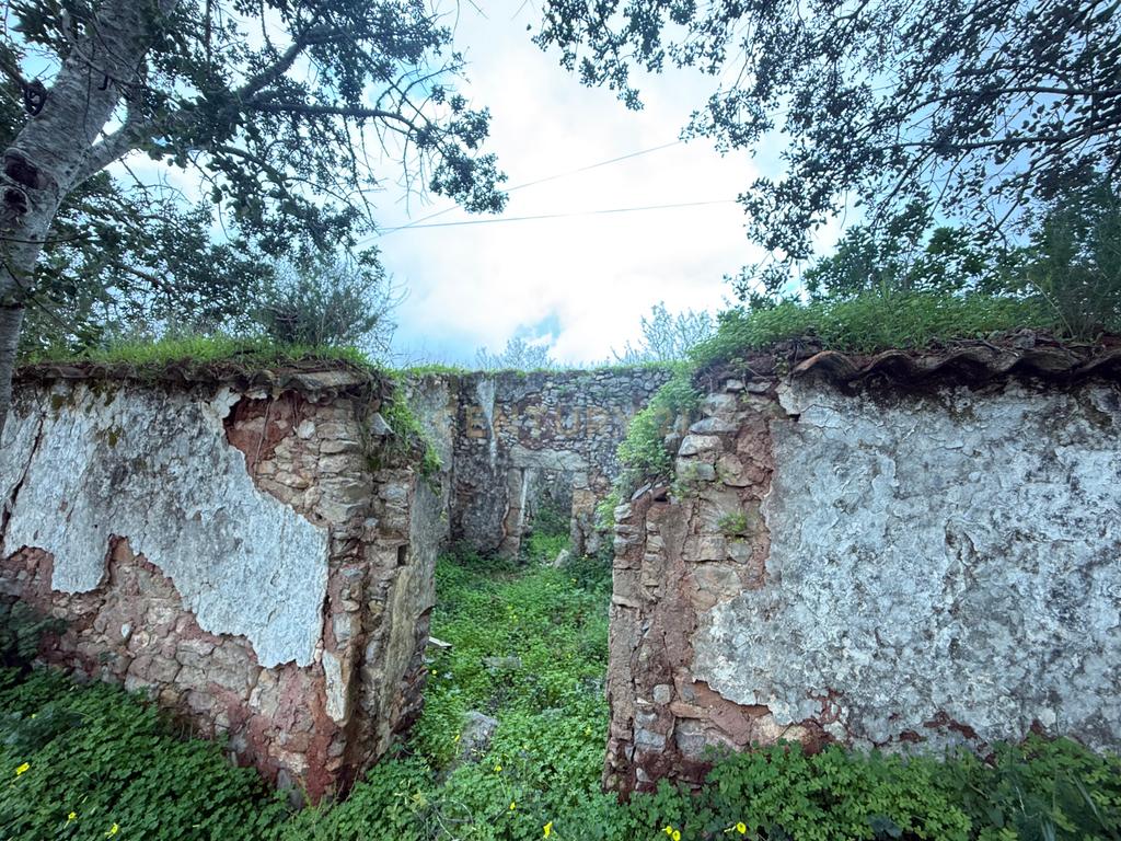 Terreno com Ruína em Mealhas, São Brás de Alportel - Image 4