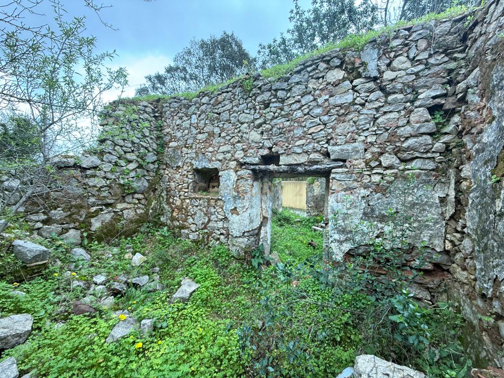 Terreno com Ruína em Mealhas, São Brás de Alportel - Image 3