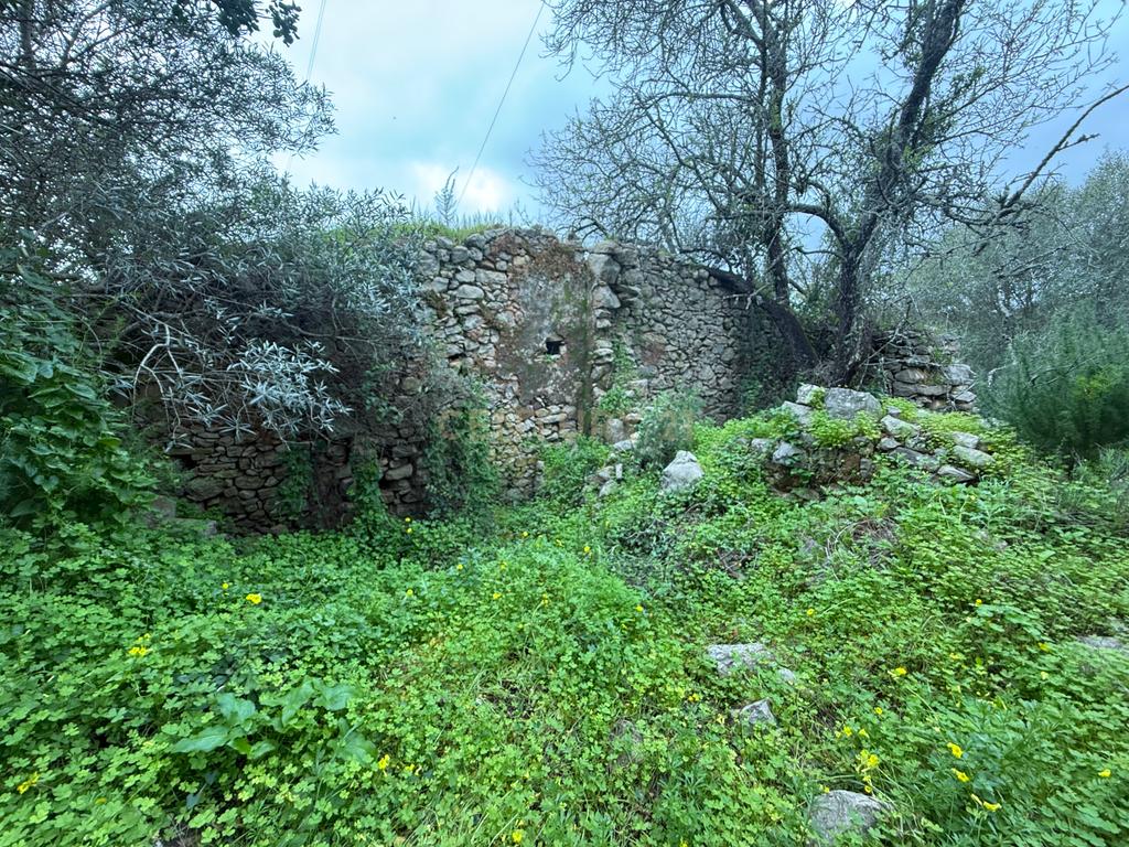 Terreno com Ruína em Mealhas, São Brás de Alportel - Image 8