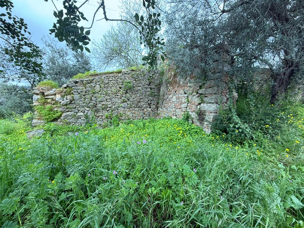 Terreno com Ruína em Mealhas, São Brás de Alportel - Image 5