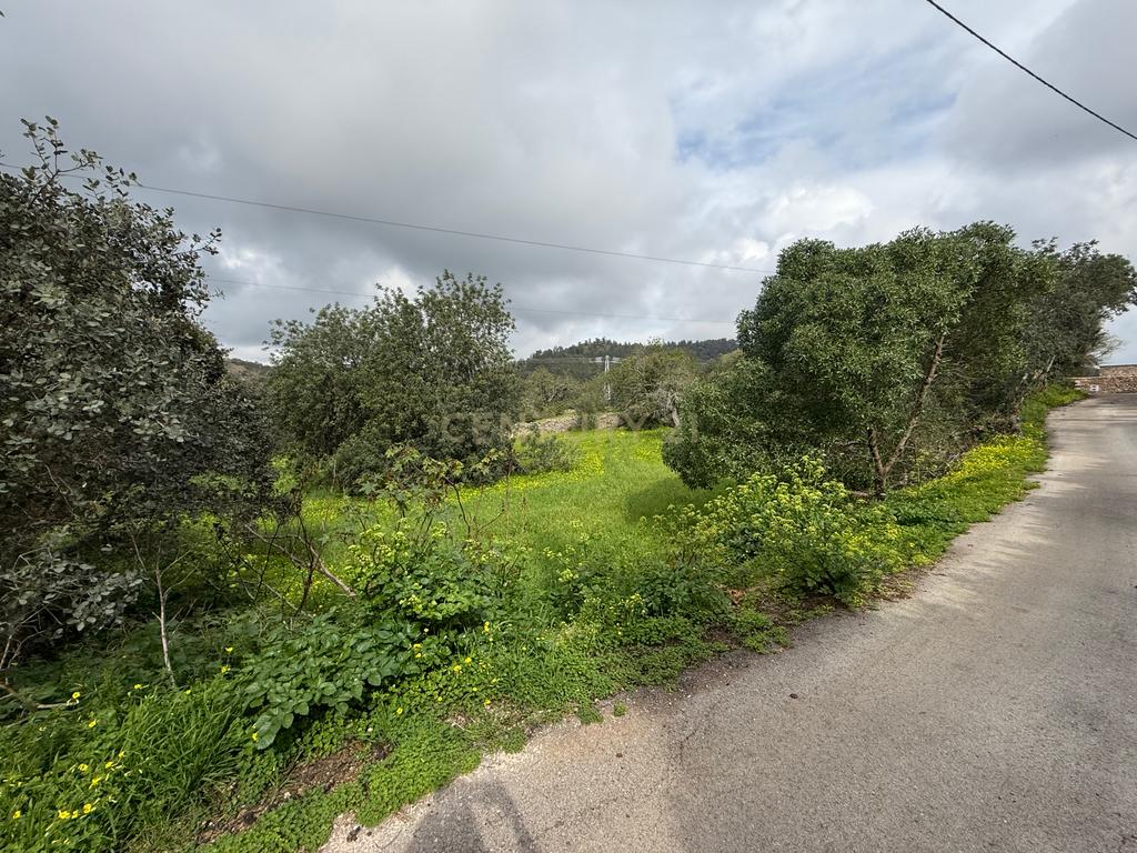 Terreno com Ruína em Mealhas, São Brás de Alportel - Image 14